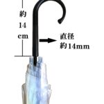 【３ＢＰ】６０㎝ビニール傘手開き式８本骨 透明（名入れ）